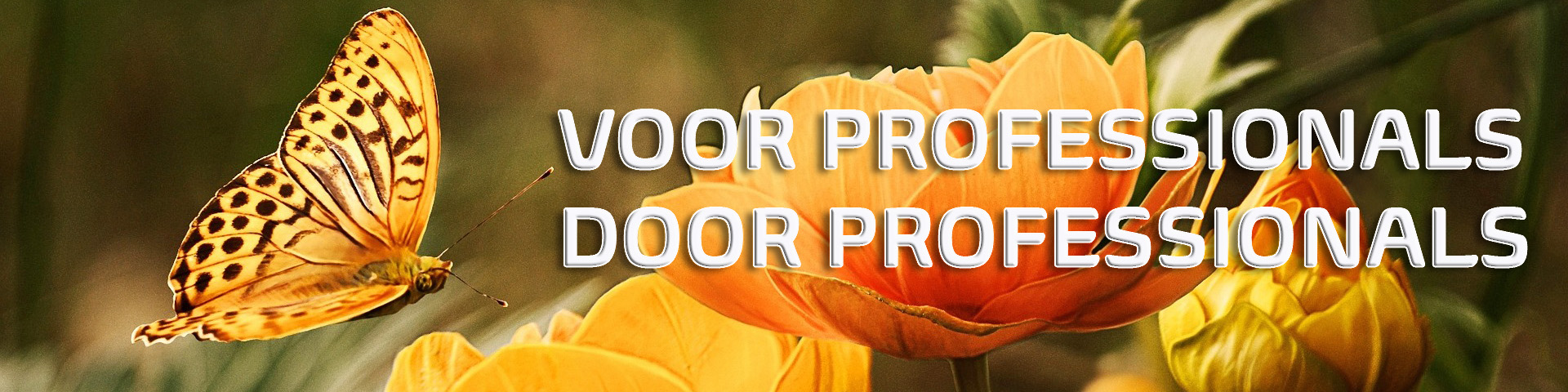 Van Eik trainingen Van Eik trainingen